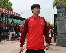 开元棋牌官网-与斯内德同在国家队和俱乐部队友有哪些