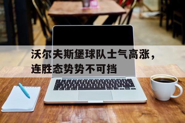 沃尔夫斯堡球队图片
