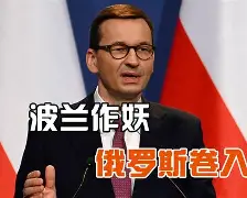 开元棋牌-波兰战役详细讲解